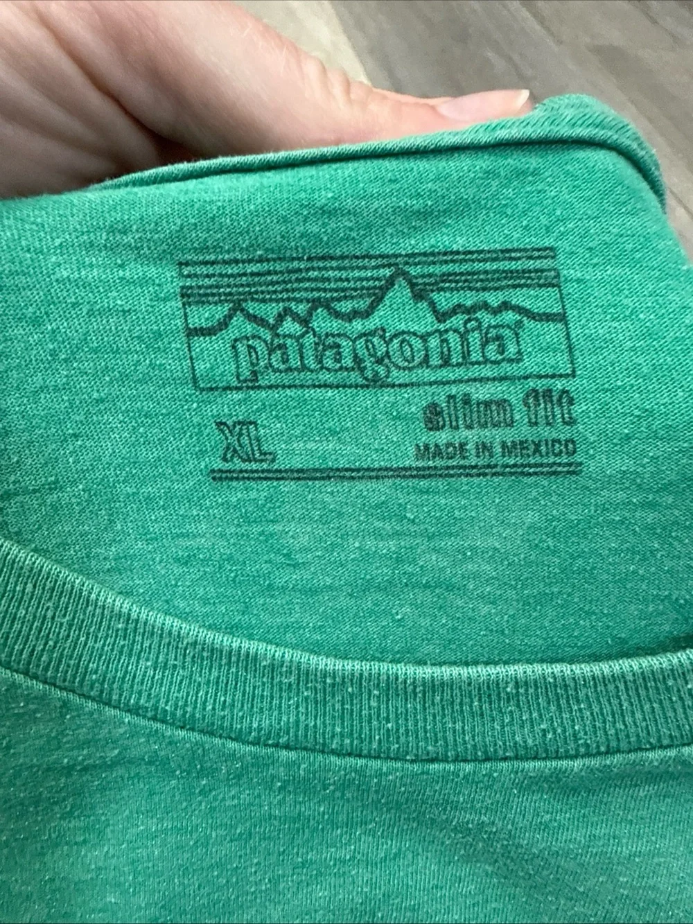 Patagonia Green Logo Short Sleeve Crew Tee
